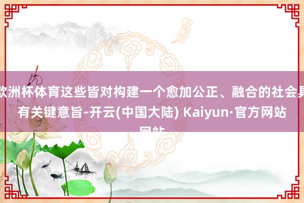 欧洲杯体育这些皆对构建一个愈加公正、融合的社会具有关键意旨-开云(中国大陆) Kaiyun·官方网站