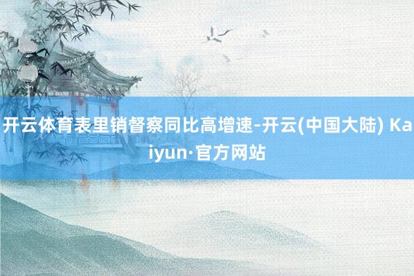 开云体育表里销督察同比高增速-开云(中国大陆) Kaiyun·官方网站