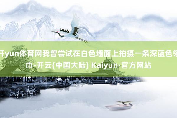 开yun体育网我曾尝试在白色墙面上拍摄一条深蓝色领巾-开云(中国大陆) Kaiyun·官方网站