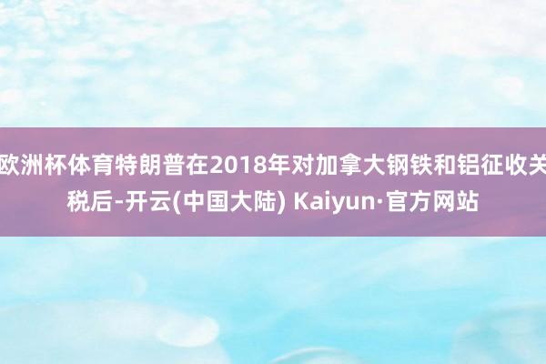 欧洲杯体育特朗普在2018年对加拿大钢铁和铝征收关税后-开云(中国大陆) Kaiyun·官方网站