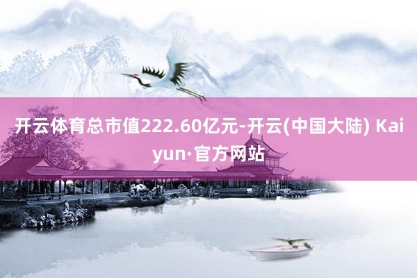开云体育总市值222.60亿元-开云(中国大陆) Kaiyun·官方网站