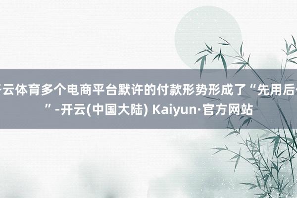 开云体育多个电商平台默许的付款形势形成了“先用后付”-开云(中国大陆) Kaiyun·官方网站