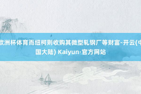 欧洲杯体育而纽柯则收购其微型轧钢厂等财富-开云(中国大陆) Kaiyun·官方网站
