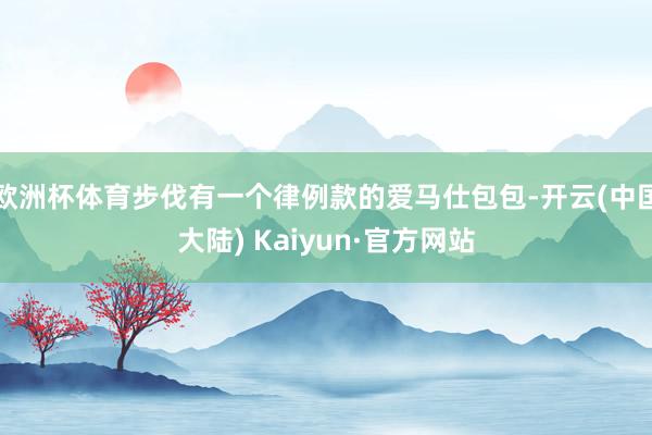 欧洲杯体育步伐有一个律例款的爱马仕包包-开云(中国大陆) Kaiyun·官方网站