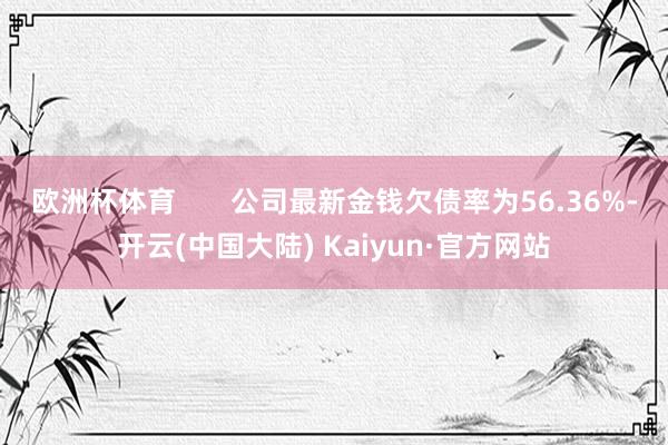 欧洲杯体育       公司最新金钱欠债率为56.36%-开云(中国大陆) Kaiyun·官方网站