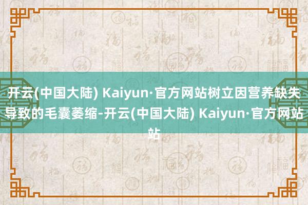 开云(中国大陆) Kaiyun·官方网站树立因营养缺失导致的毛囊萎缩-开云(中国大陆) Kaiyun·官方网站