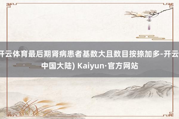开云体育最后期肾病患者基数大且数目按捺加多-开云(中国大陆) Kaiyun·官方网站