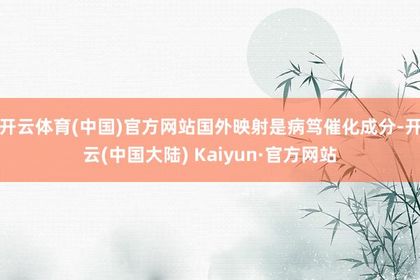 开云体育(中国)官方网站国外映射是病笃催化成分-开云(中国大陆) Kaiyun·官方网站
