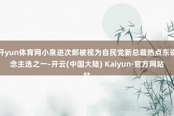 开yun体育网小泉进次郎被视为自民党新总裁热点东说念主选之一-开云(中国大陆) Kaiyun·官方网站