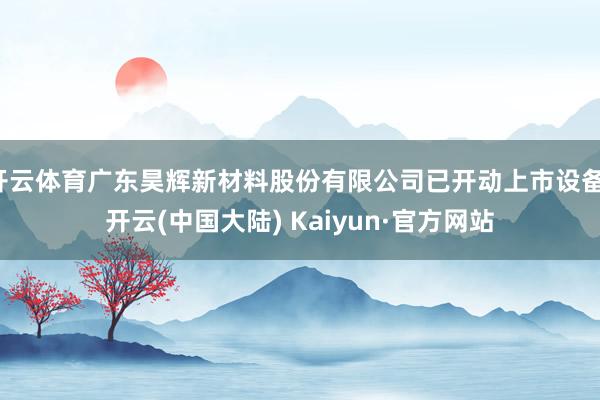 开云体育广东昊辉新材料股份有限公司已开动上市设备-开云(中国大陆) Kaiyun·官方网站