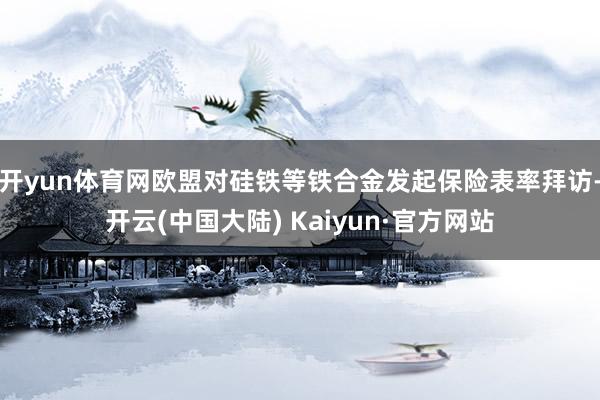 开yun体育网欧盟对硅铁等铁合金发起保险表率拜访-开云(中国大陆) Kaiyun·官方网站