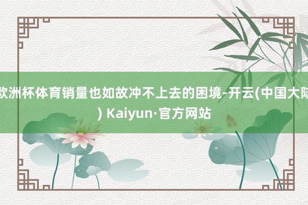 欧洲杯体育销量也如故冲不上去的困境-开云(中国大陆) Kaiyun·官方网站