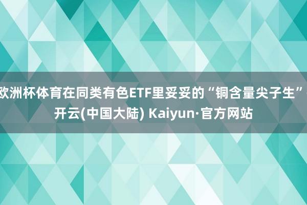 欧洲杯体育在同类有色ETF里妥妥的“铜含量尖子生”-开云(中国大陆) Kaiyun·官方网站