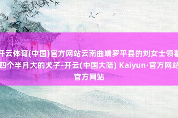 开云体育(中国)官方网站云南曲靖罗平县的刘女士领着四个半月大的犬子-开云(中国大陆) Kaiyun·官方网站